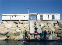 ses1